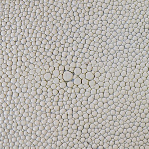 Dover White Faux Shagreen DVR