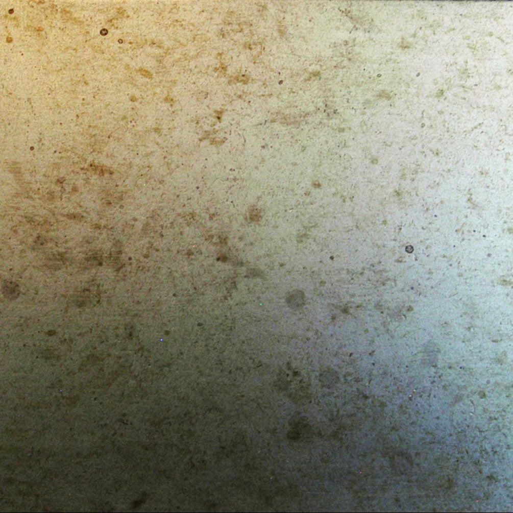 Variegated Nickel