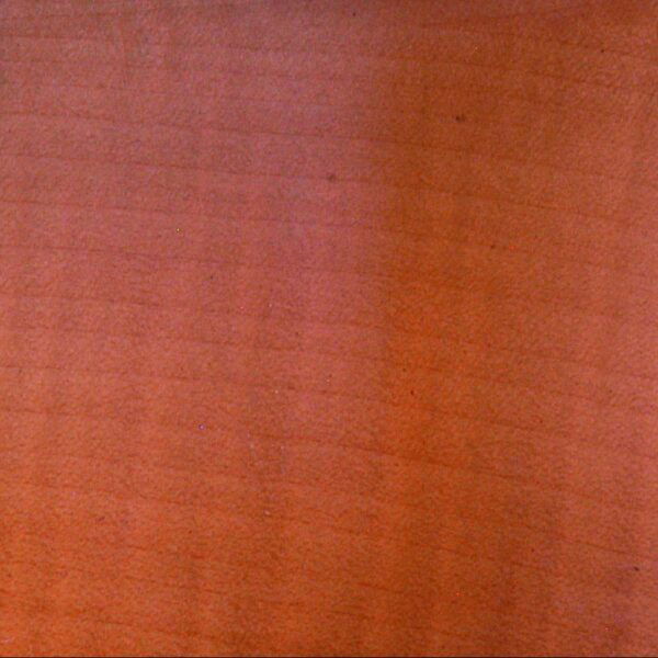 SYC e1587464508279 600x600 copy