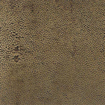 brassonshagreen obc 1 1 copy